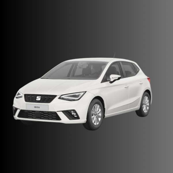 Seat Ibiza 1.0 MPI 80CV Reference SALTA!