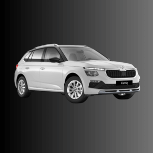 Skoda Kamiq 1.0 TSI DSG 115CV SELECTION